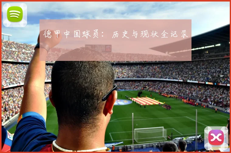 德甲中国球员:历史与现状全记录