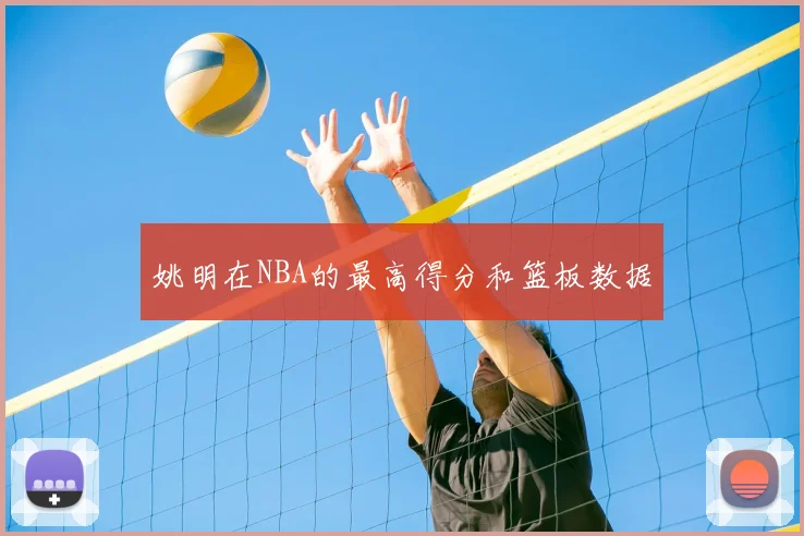 姚明在NBA的最高得分和篮板数据